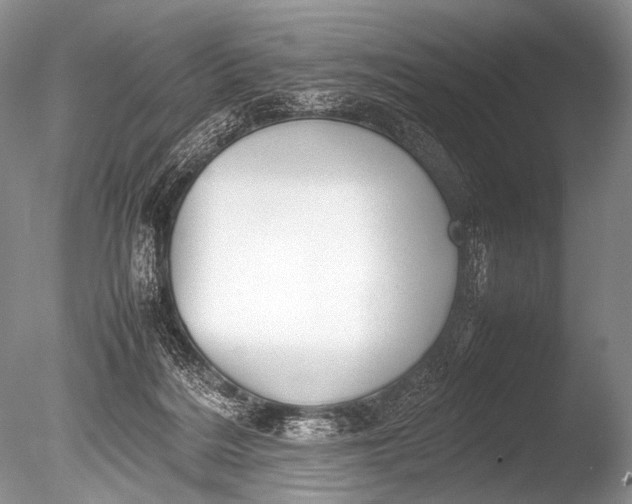 X0000085730220200703301410