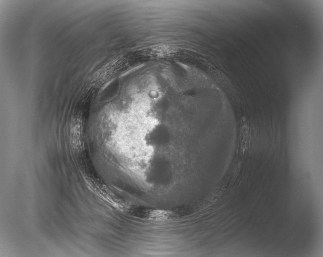 X0000085730222200703301410