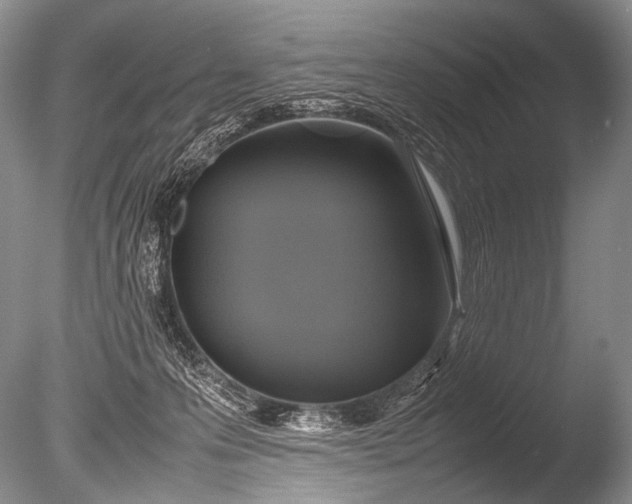 X0000085730223200703301410