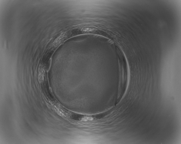 X0000085730227200703301410