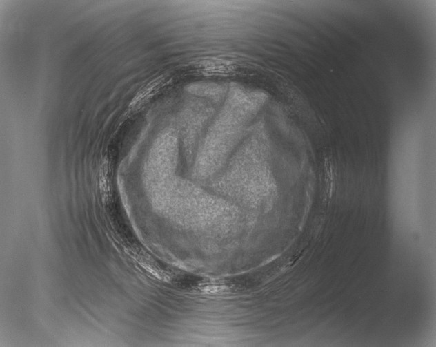 X0000085730228200703301410