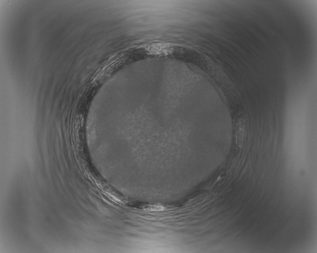 X0000085730229200703301410