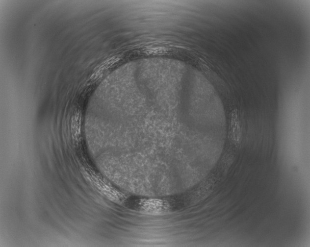 X0000085730230200703301410