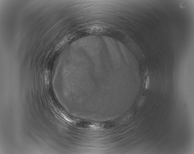 X0000085730232200703301410