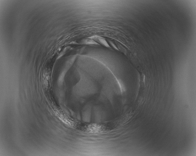 X0000085730235200703301410