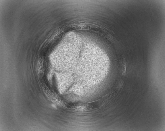 X0000085730236200703301410