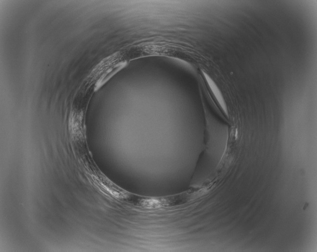 X0000085730239200703301410