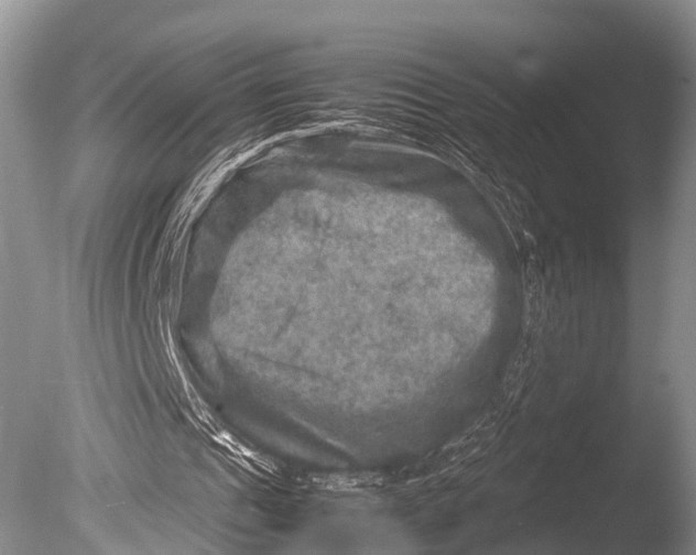 X0000085730241200703301409