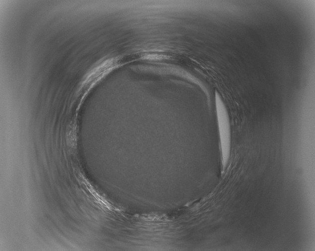 X0000085730243200703301409