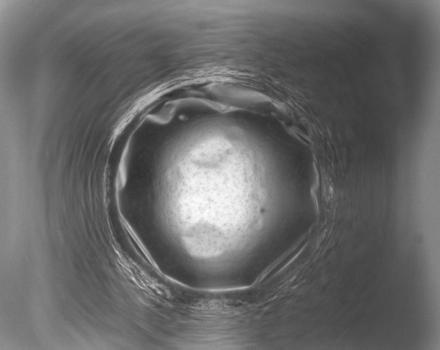 X0000085730244200703301409