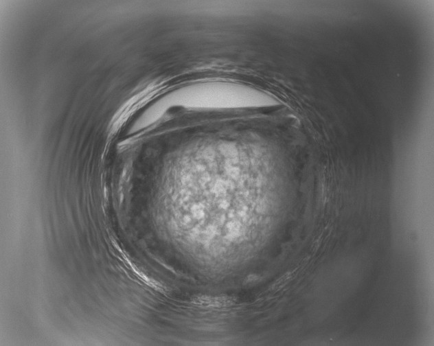 X0000085730245200703301409