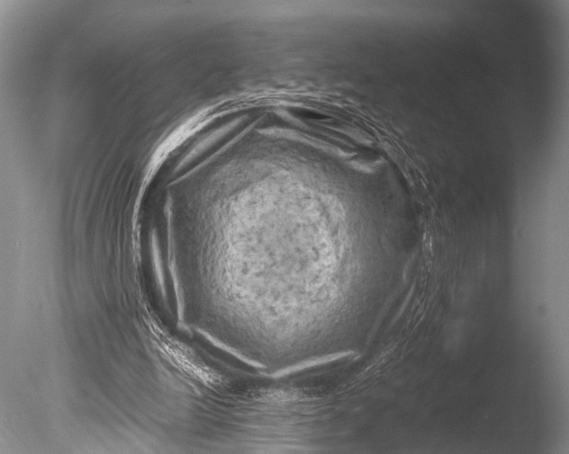 X0000085730246200703301409