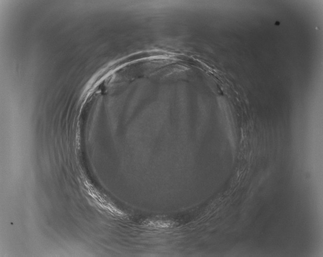 X0000085730247200703301409