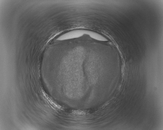 X0000085730249200703301409