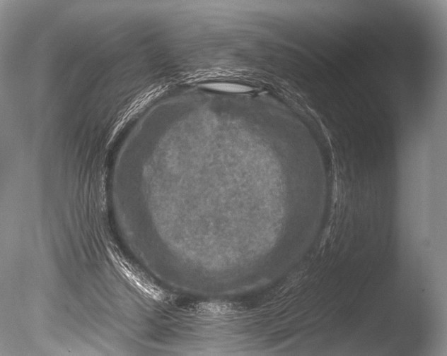 X0000085730250200703301409