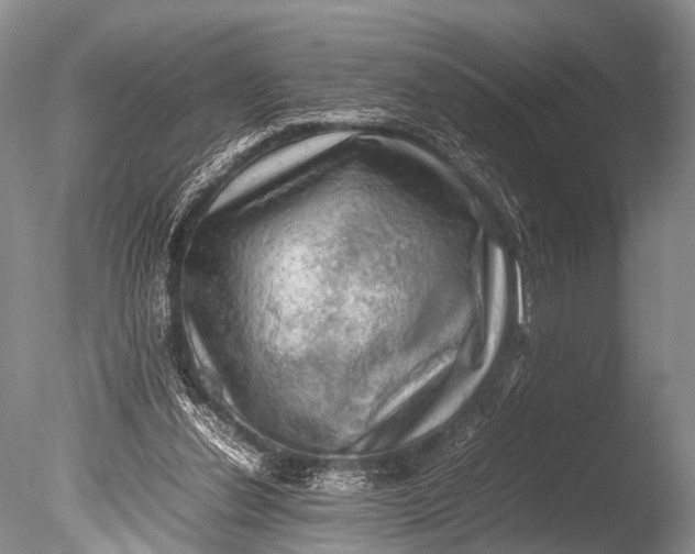 X0000085730252200703301409