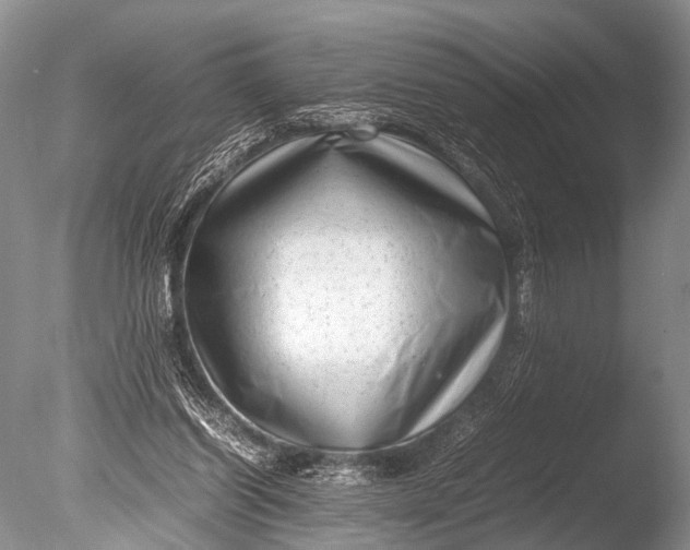 X0000085730254200703301409