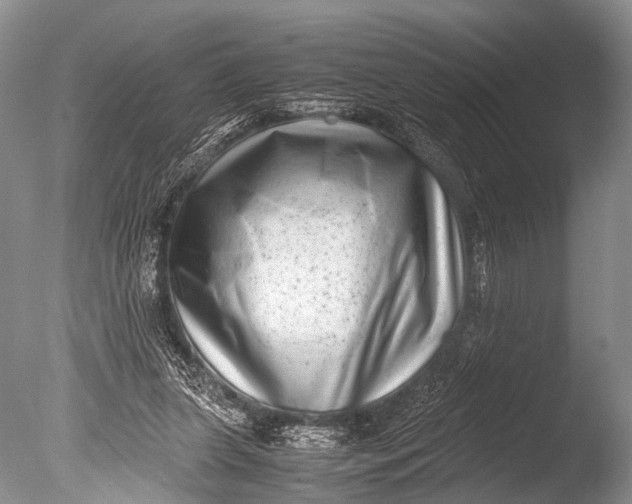 X0000085730255200703301409