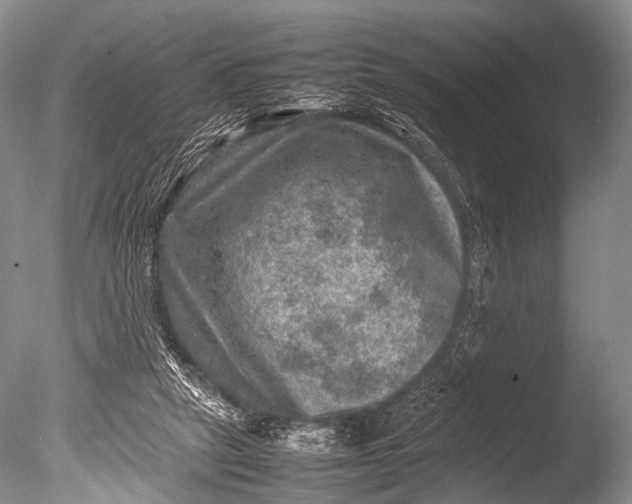 X0000085730257200703301409