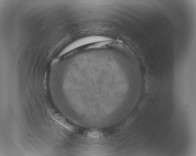 X0000085730258200703301409