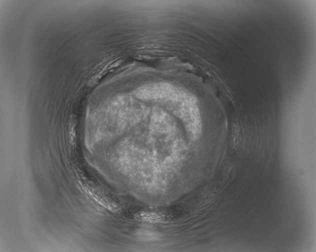 X0000085730259200703301409