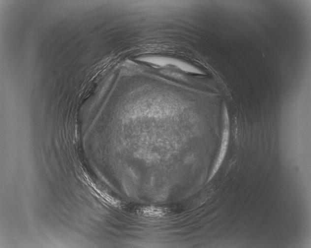 X0000085730261200703301409