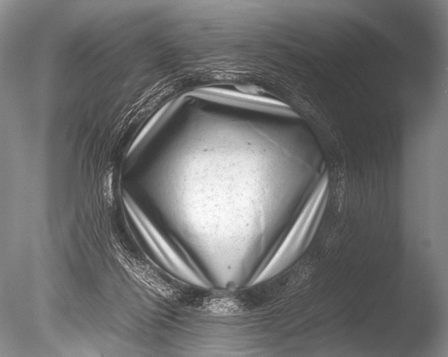 X0000085730262200703301409