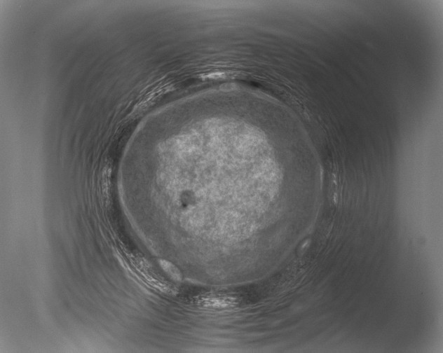 X0000085730263200703301409