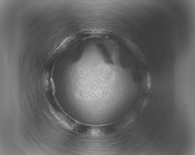 X0000085730264200703301409