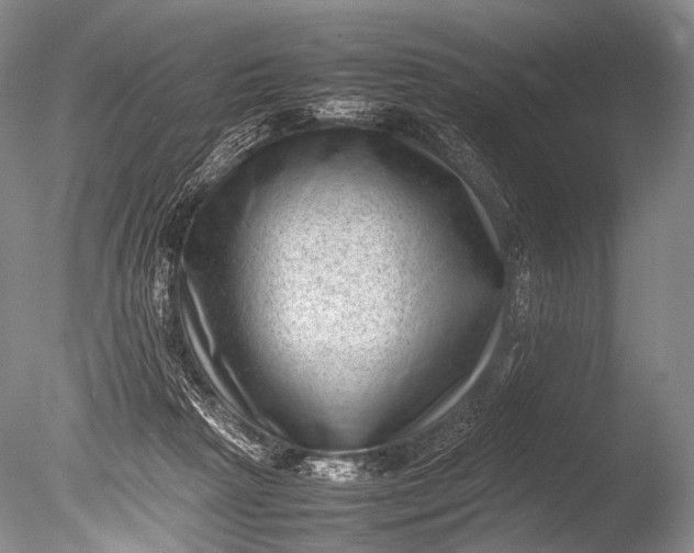 X0000085730265200703301409