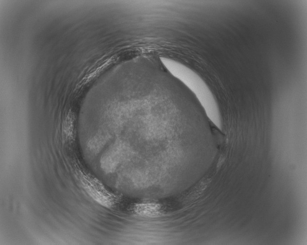 X0000085730266200703301409