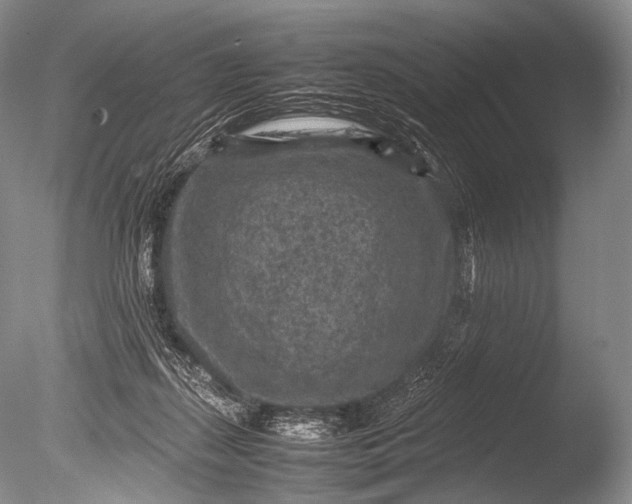 X0000085730267200703301409