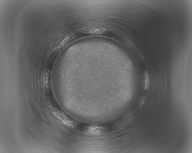 X0000085730268200703301409