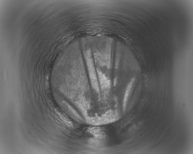 X0000085730269200703301409