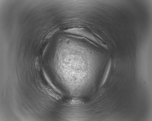 X0000085730270200703301409