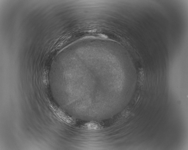 X0000085730272200703301409