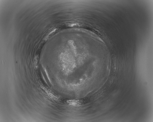 X0000085730273200703301409