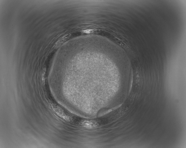 X0000085730275200703301409