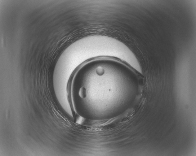 X0000085730276200703301409