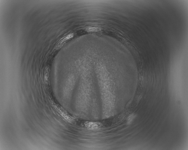 X0000085730277200703301409