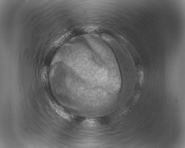 X0000085730280200703301410