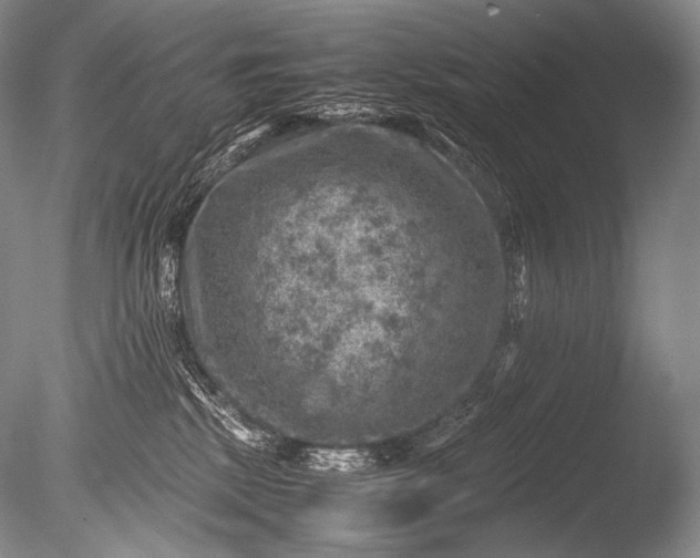 X0000085730281200703301410