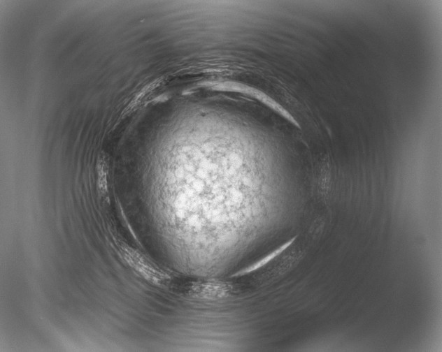 X0000085730282200703301410