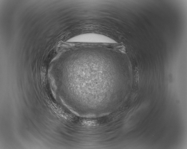 X0000085730283200703301410