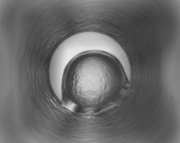 X0000085730284200703301410