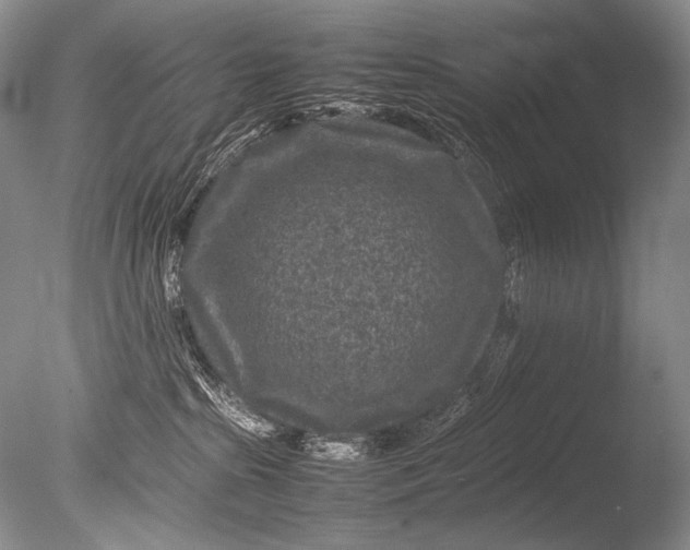 X0000085730285200703301410