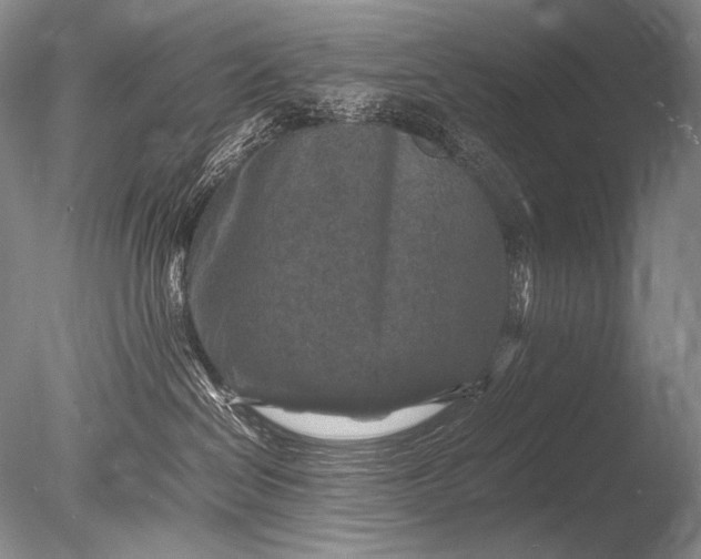 X0000085730286200703301410