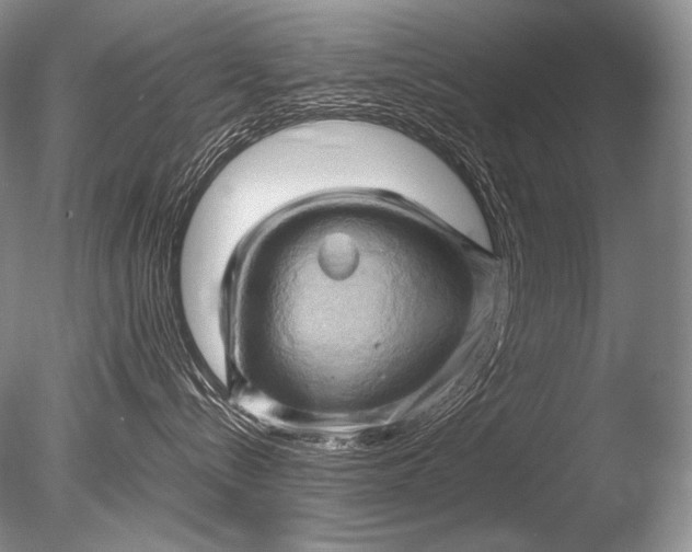 X0000085730288200703301410