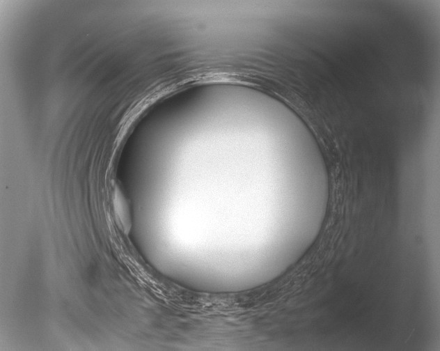 X0000085730289200703301409