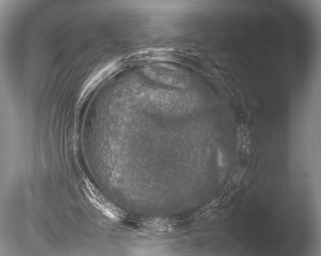 X0000085730293200703301409